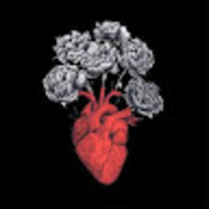 Meet your Posher, Savannah